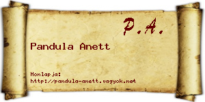 Pandula Anett névjegykártya
